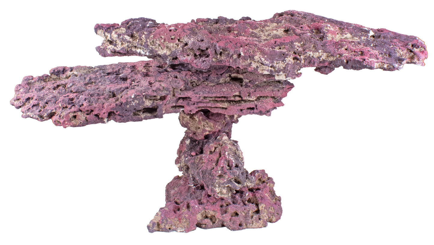 LifeRock Reef Canopy