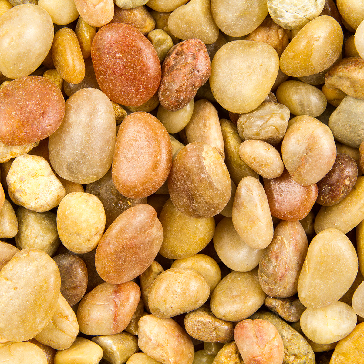 SHALLOW CREEK PEBBLE