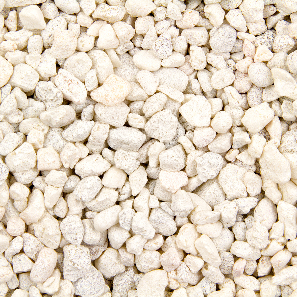 SPECIAL WHITE