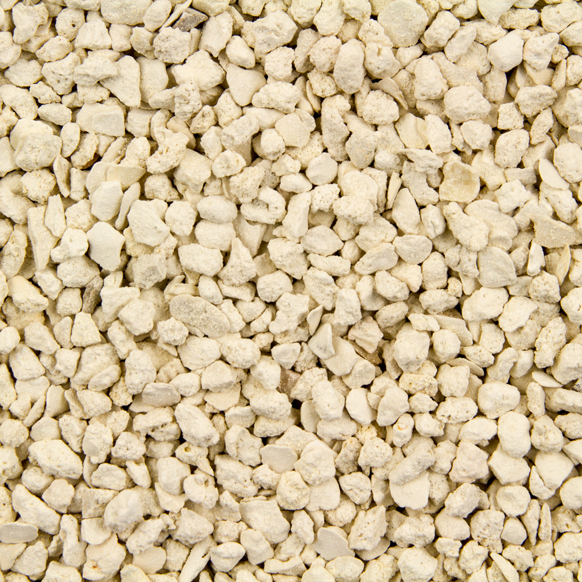 CRUSHED CORAL