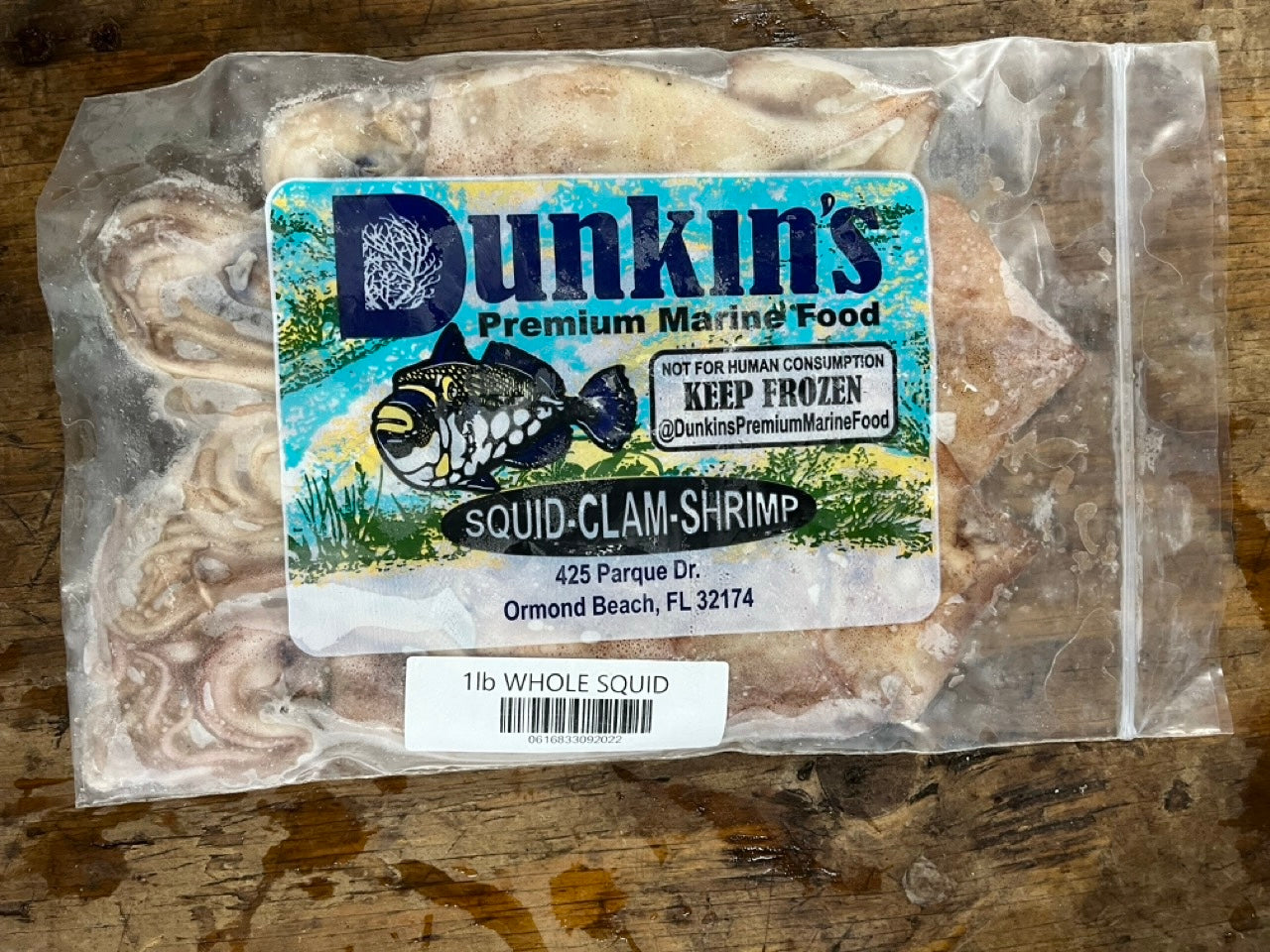 SQUID WHOLE