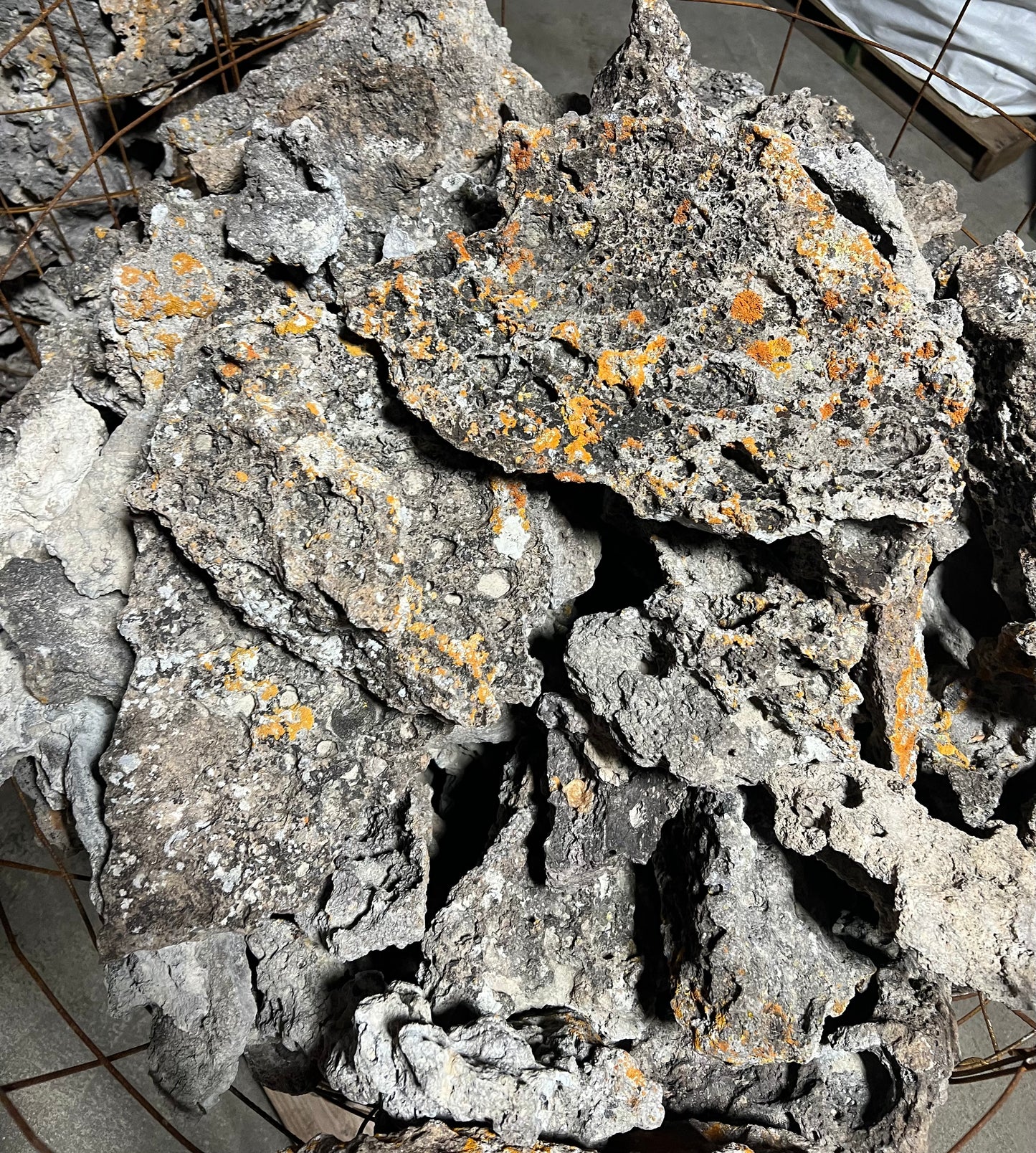 Lace Rock