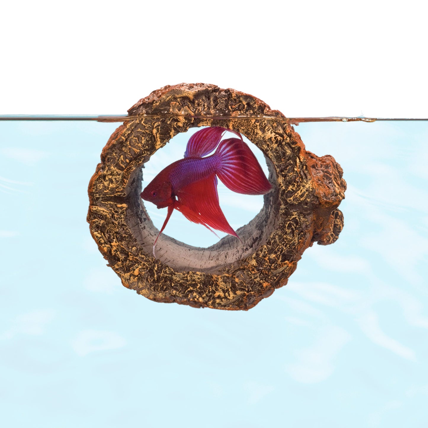 Betta Floating Log