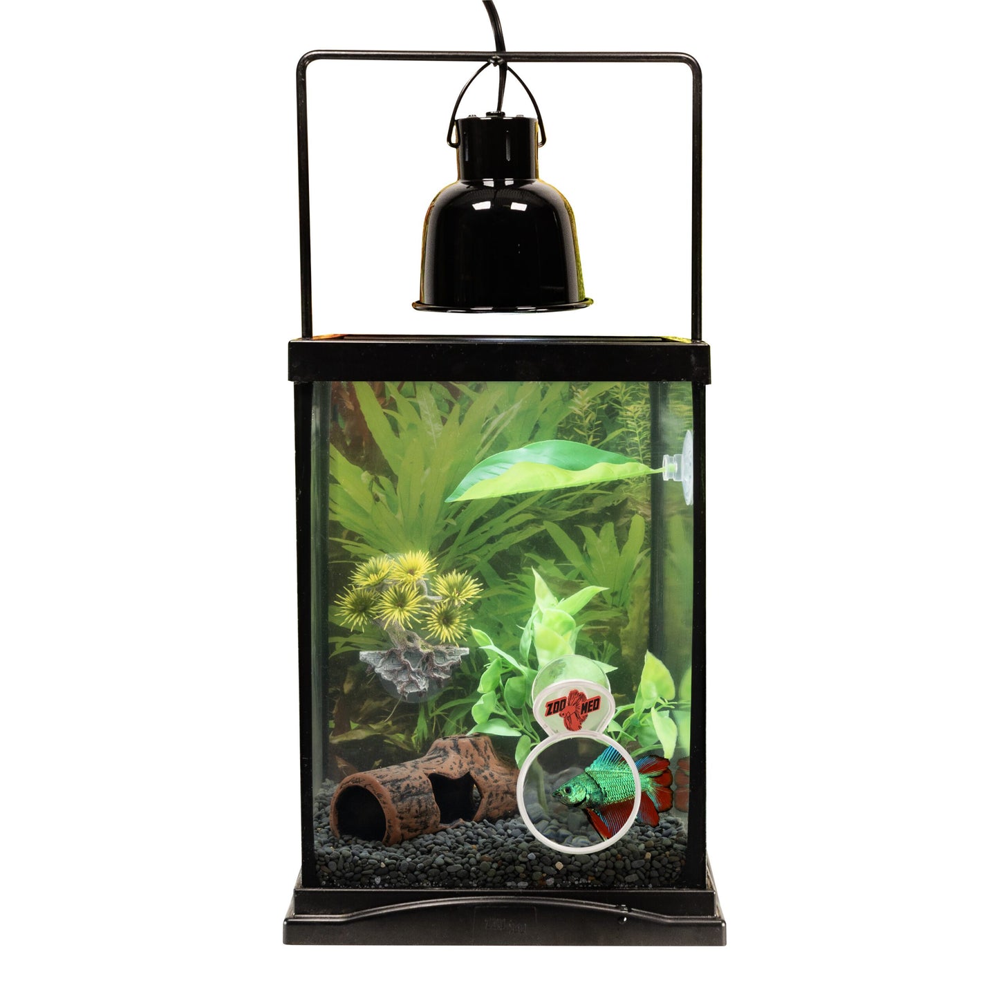 BettaView Magnifier