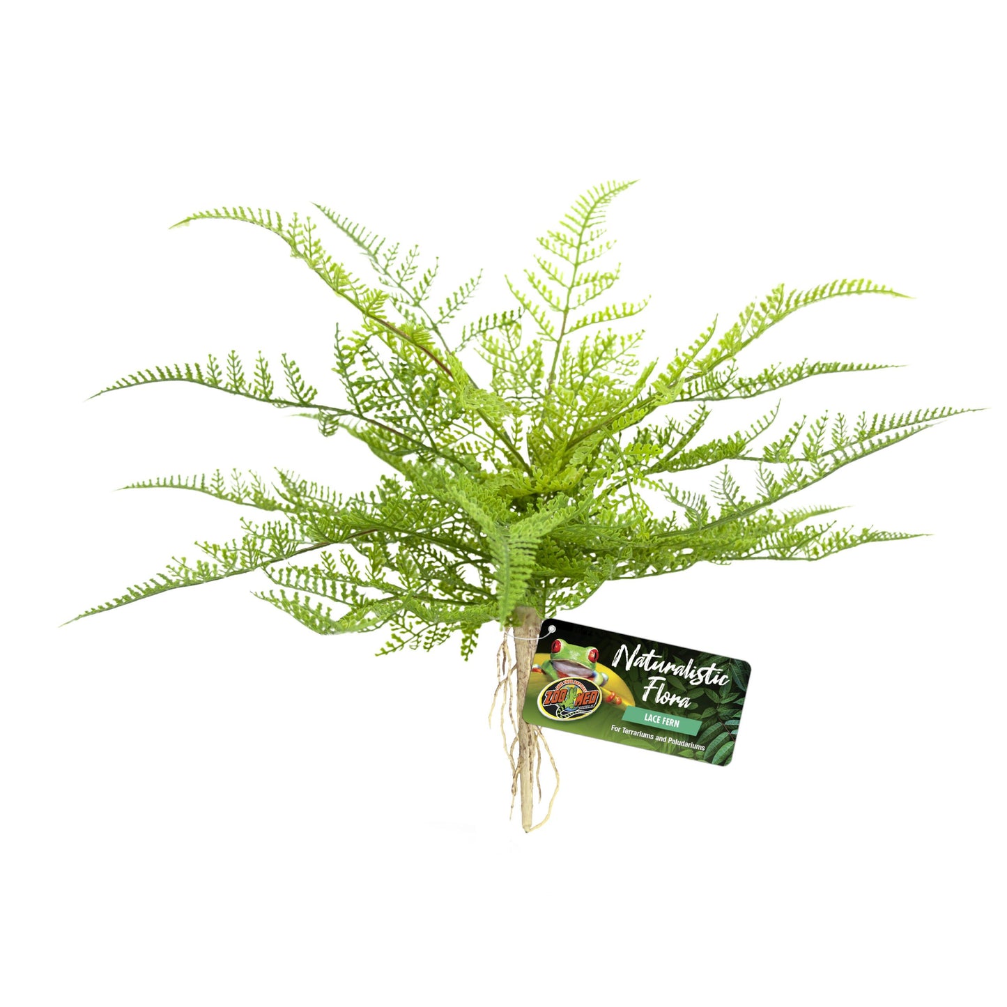 Naturalistic Flora - Lace Fern