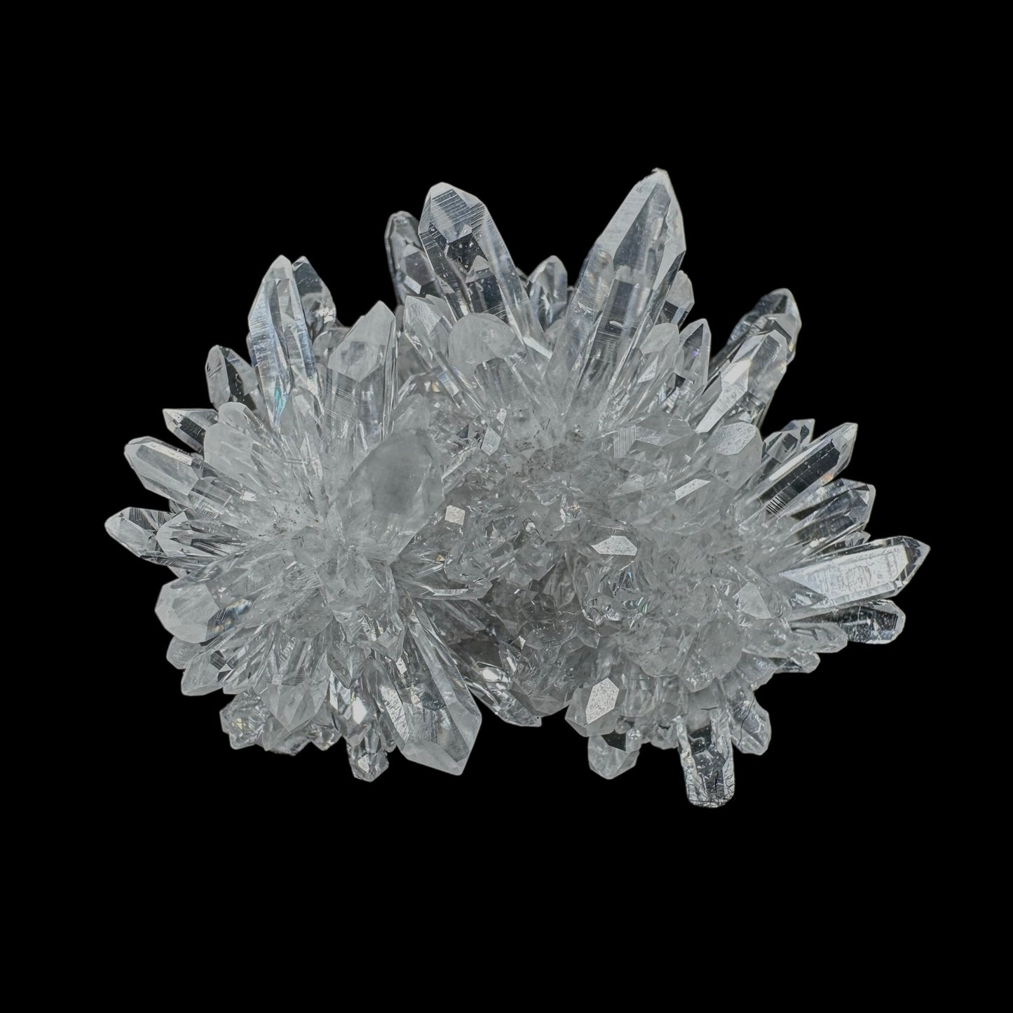 Chrysanthemum Stone