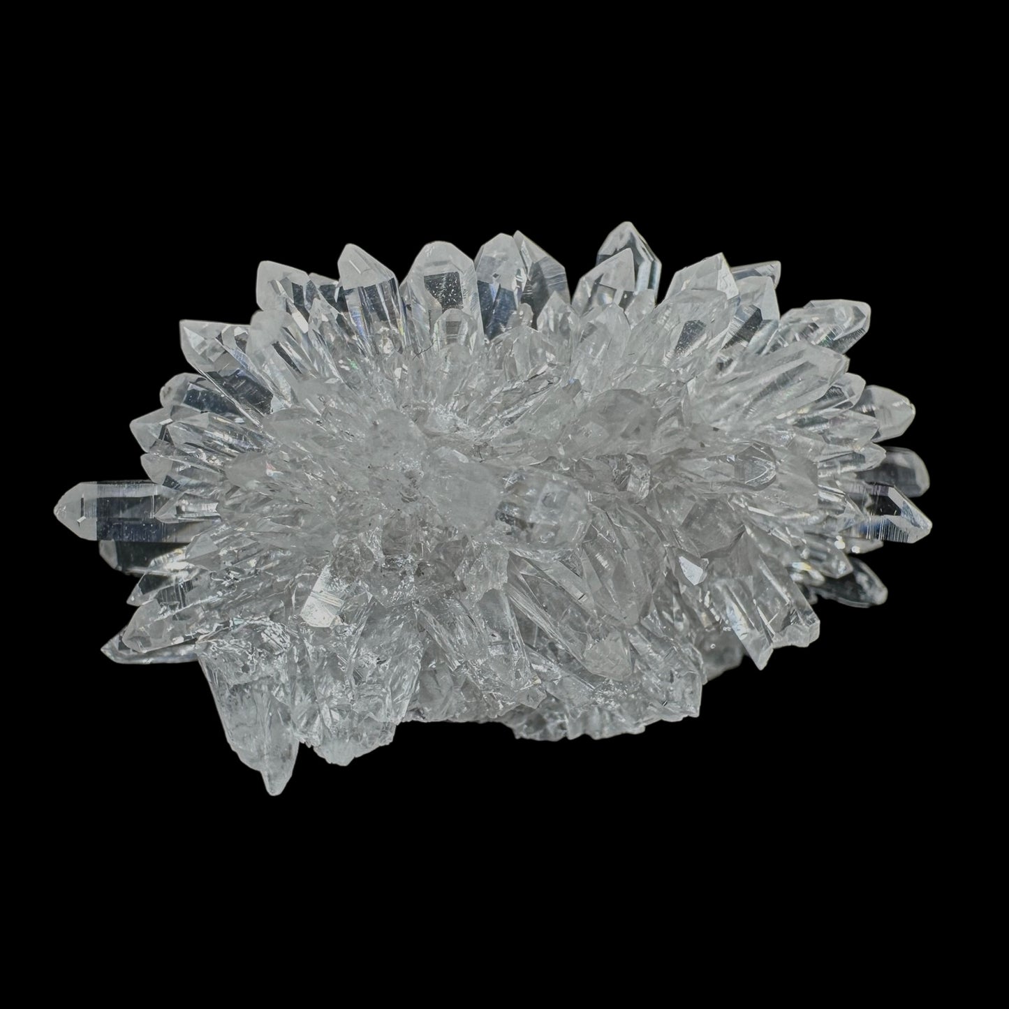 Chrysanthemum Stone
