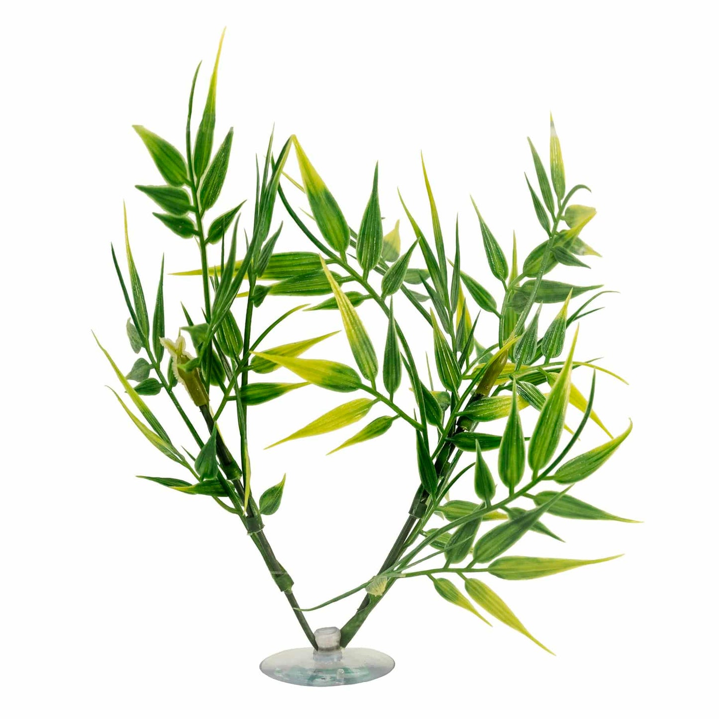 Creatures Bamboo Plant