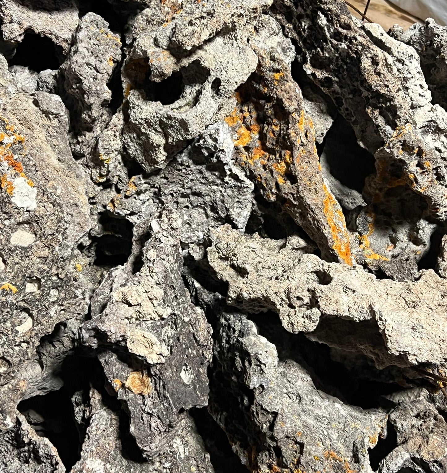 Lace Rock