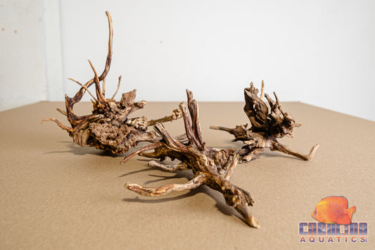 Driftwood - Carolina Black Spider Wood