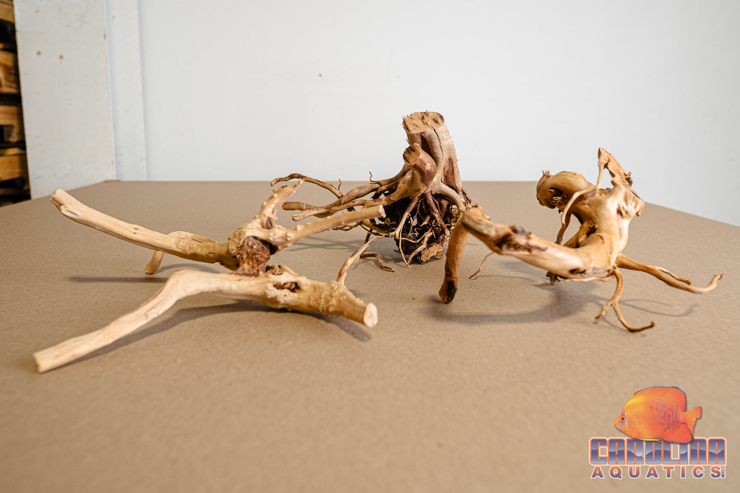 Driftwood - Carolina Spider Wood