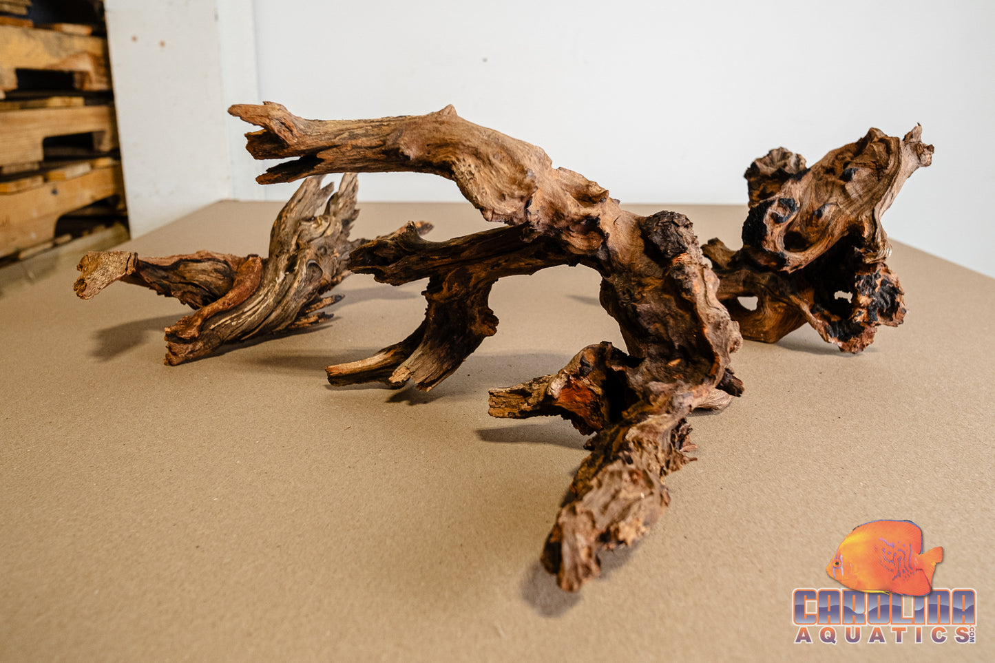 Driftwood - Malaysian