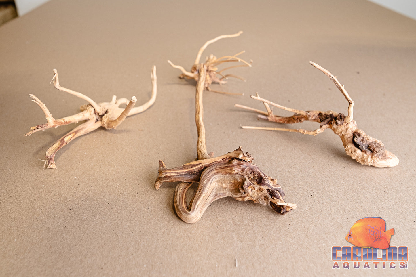 Driftwood - Carolina Spider Wood