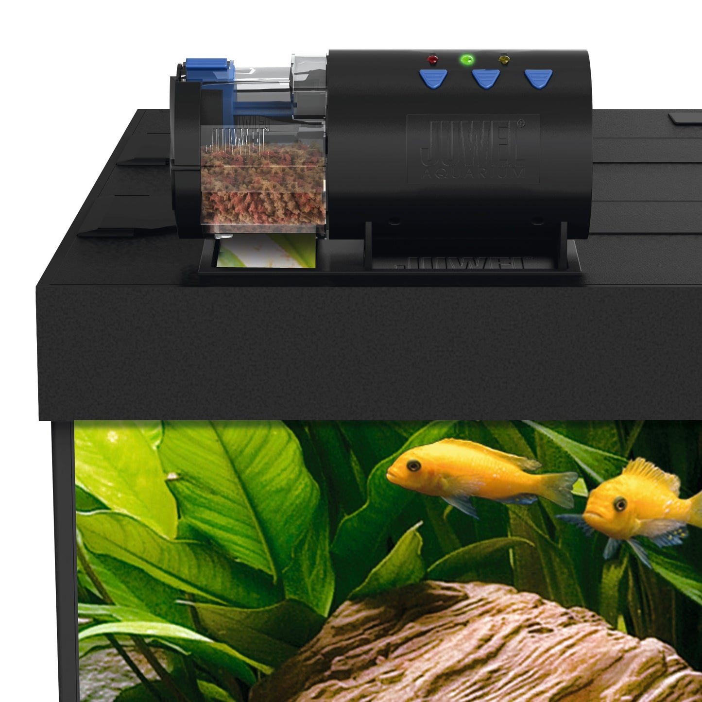 EasyFeed - Automatic Feeder