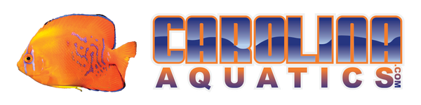 Carolina Aquatics logo