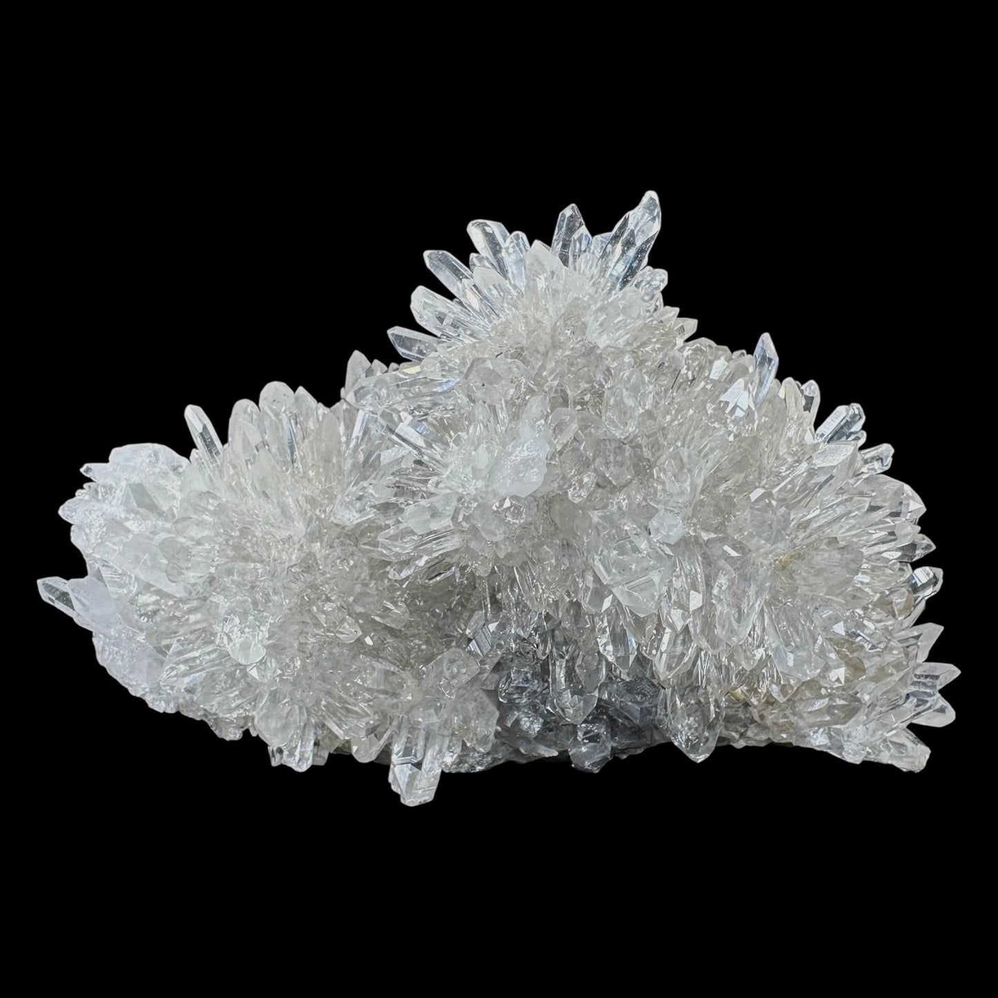 Chrysanthemum Stone