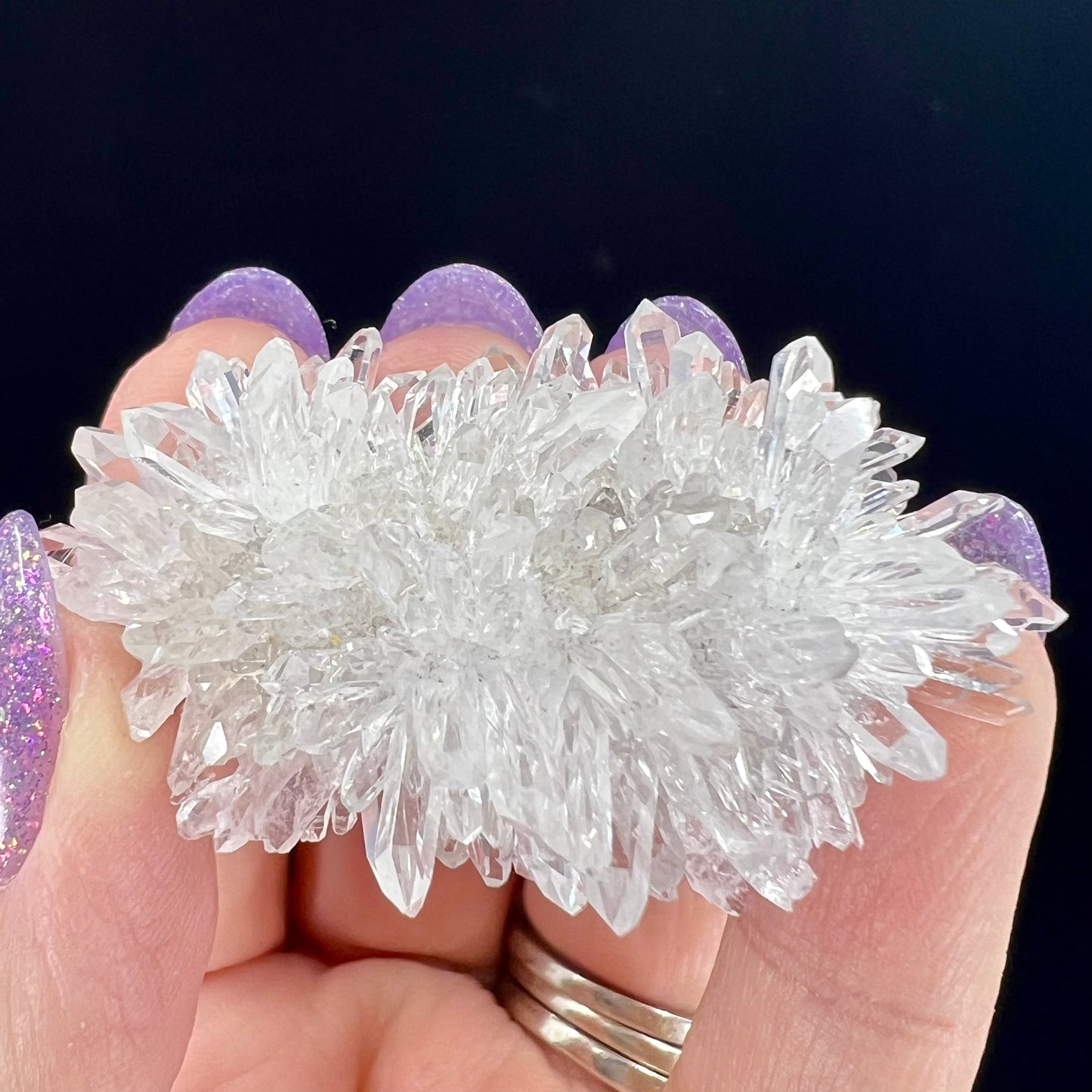 Chrysanthemum Stone
