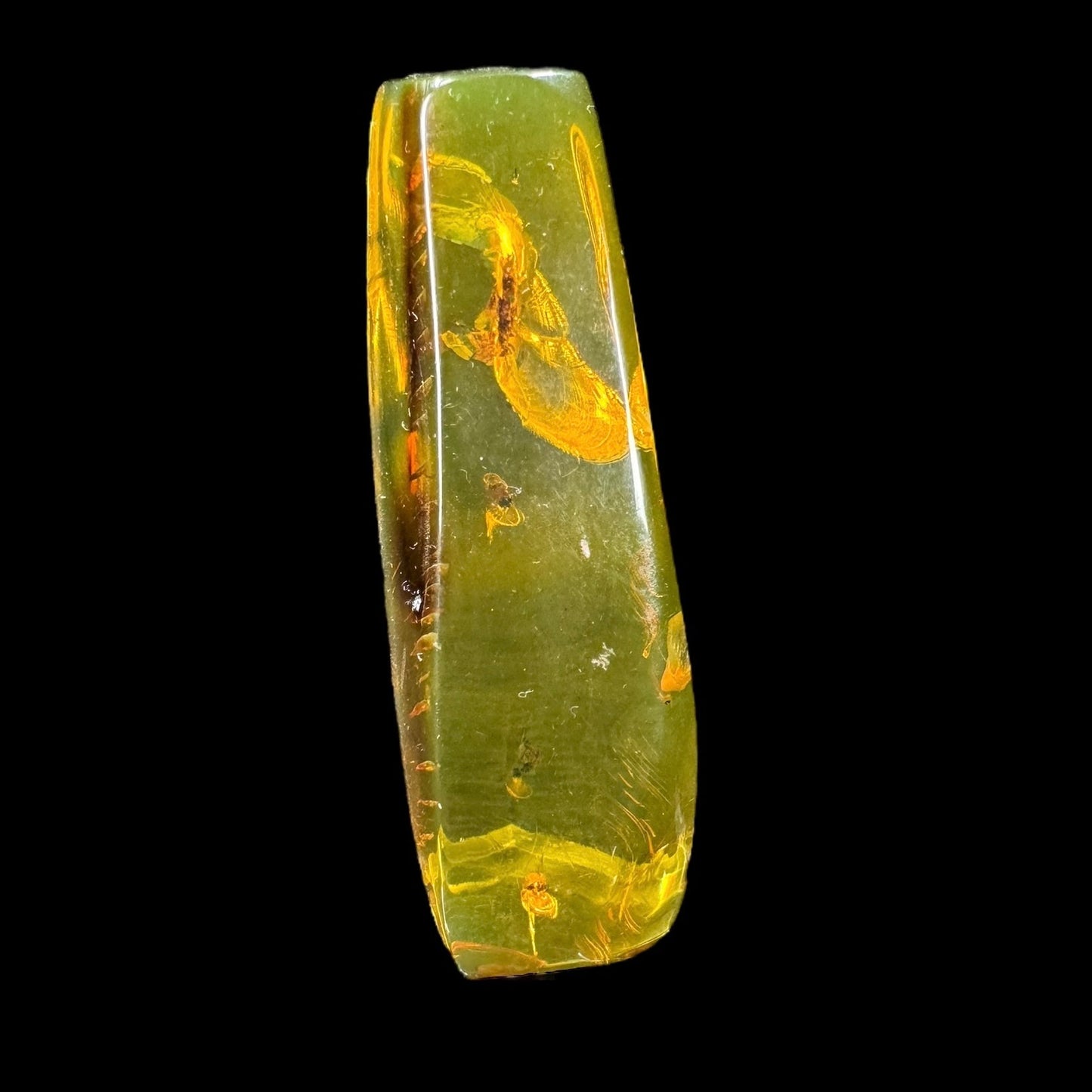Amber w/ Insect Inclusions