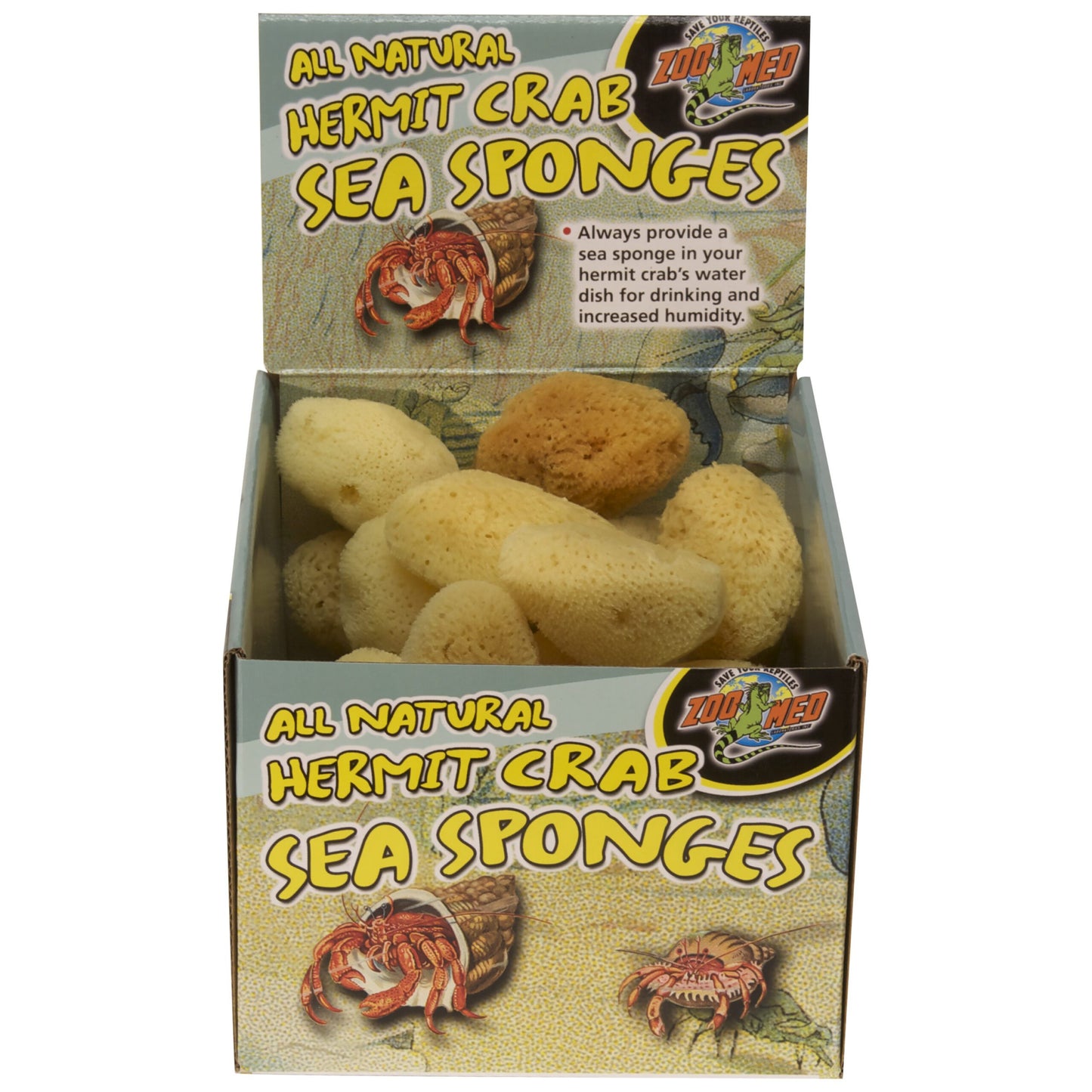 Hermit Crab Sponges