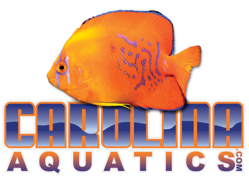 Carolina Aquatic Wholesale Fish Pet Supplies Carolina Aquatics