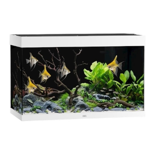 Juwel Rio 290