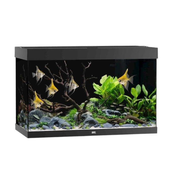 Juwel Rio 290