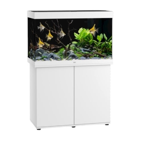 Juwel Rio 290