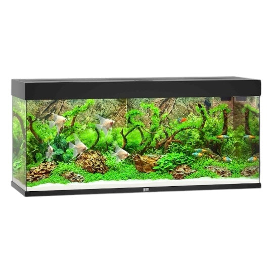 Juwel Rio 240
