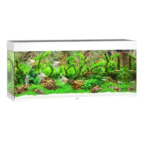 Juwel Rio 240