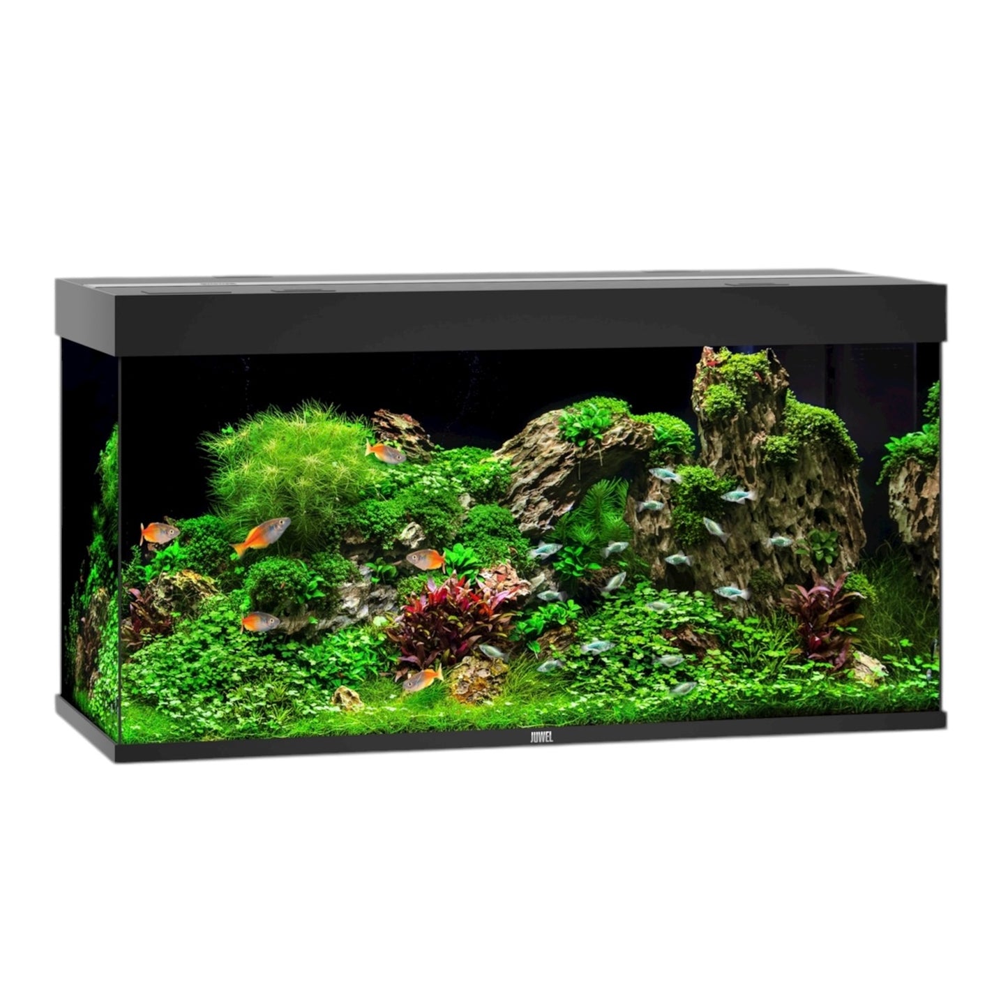 Juwel Rio 350