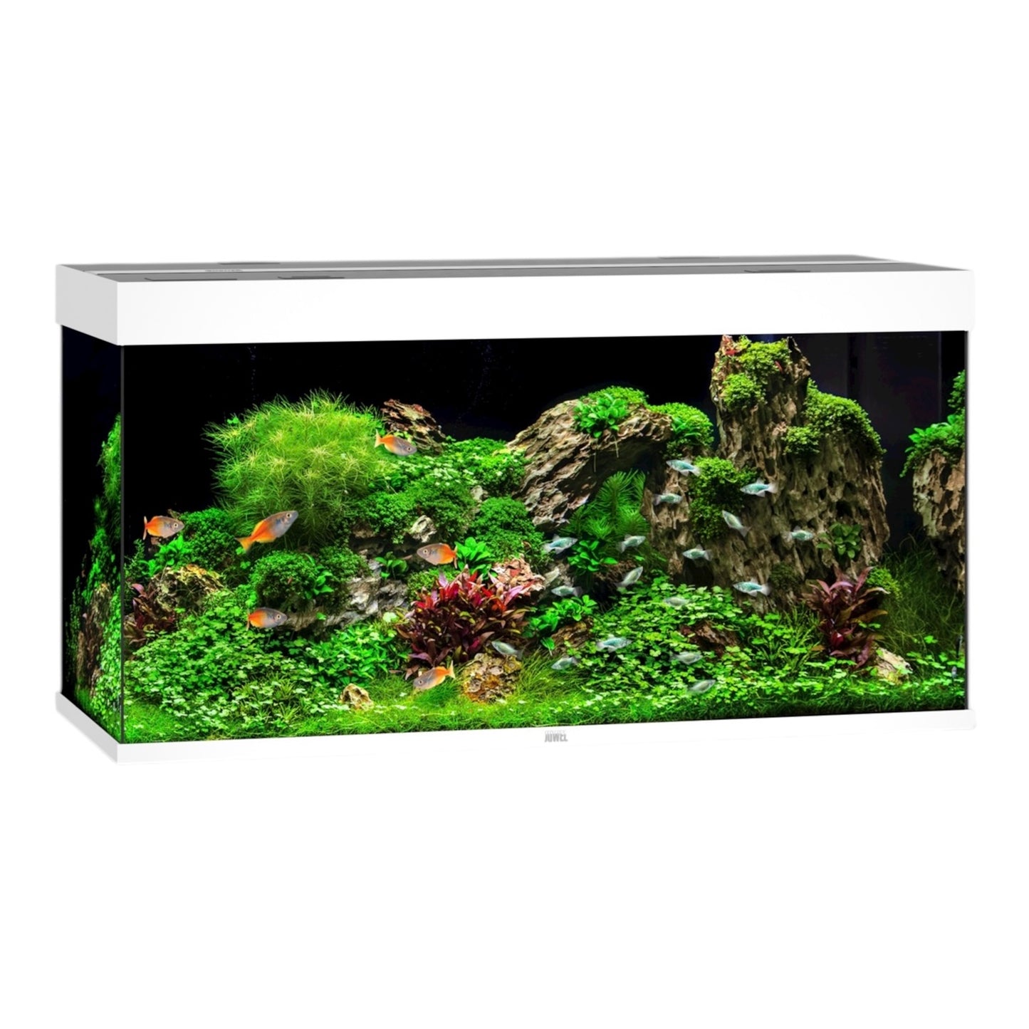 Juwel Rio 350