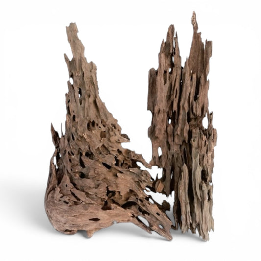 Driftwood - Shrimp Wood