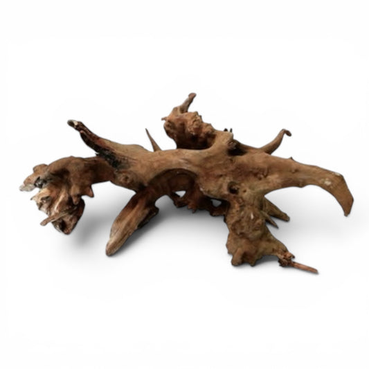 Driftwood (Similar to Malaysian)
