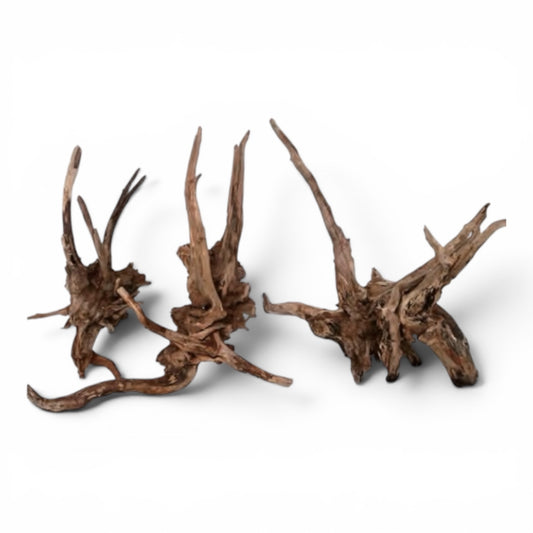 Driftwood - Carolina Black Spider Wood