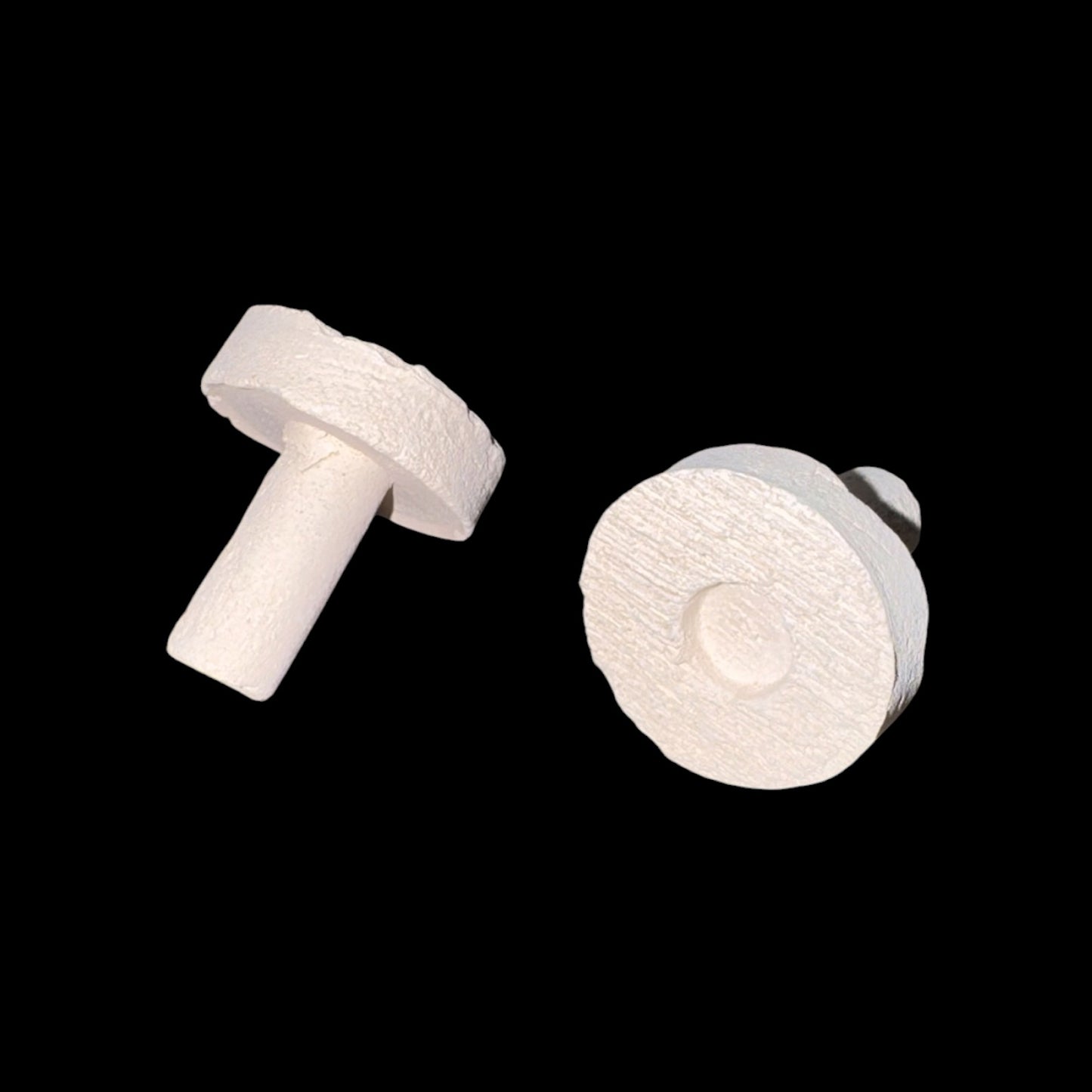 Natural Frag Plug with Hole