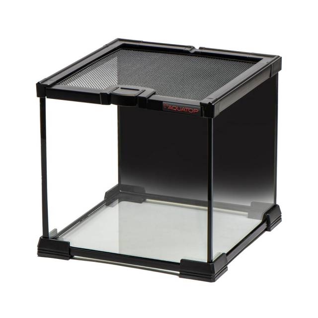 GLASS TERRARIUM CUBE WITH MESH TOP