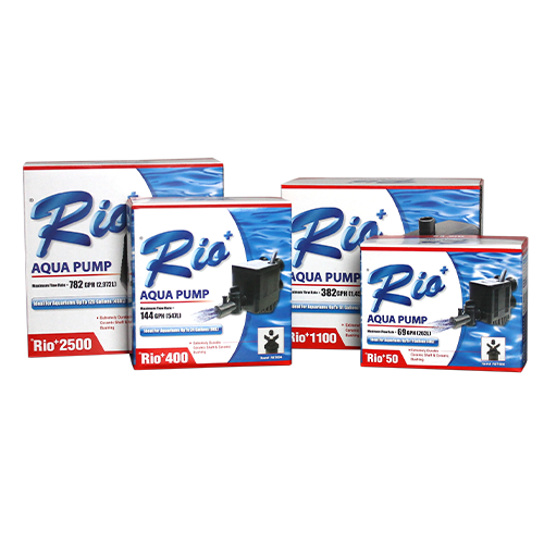 Rio® + Aqua Pump UL Version