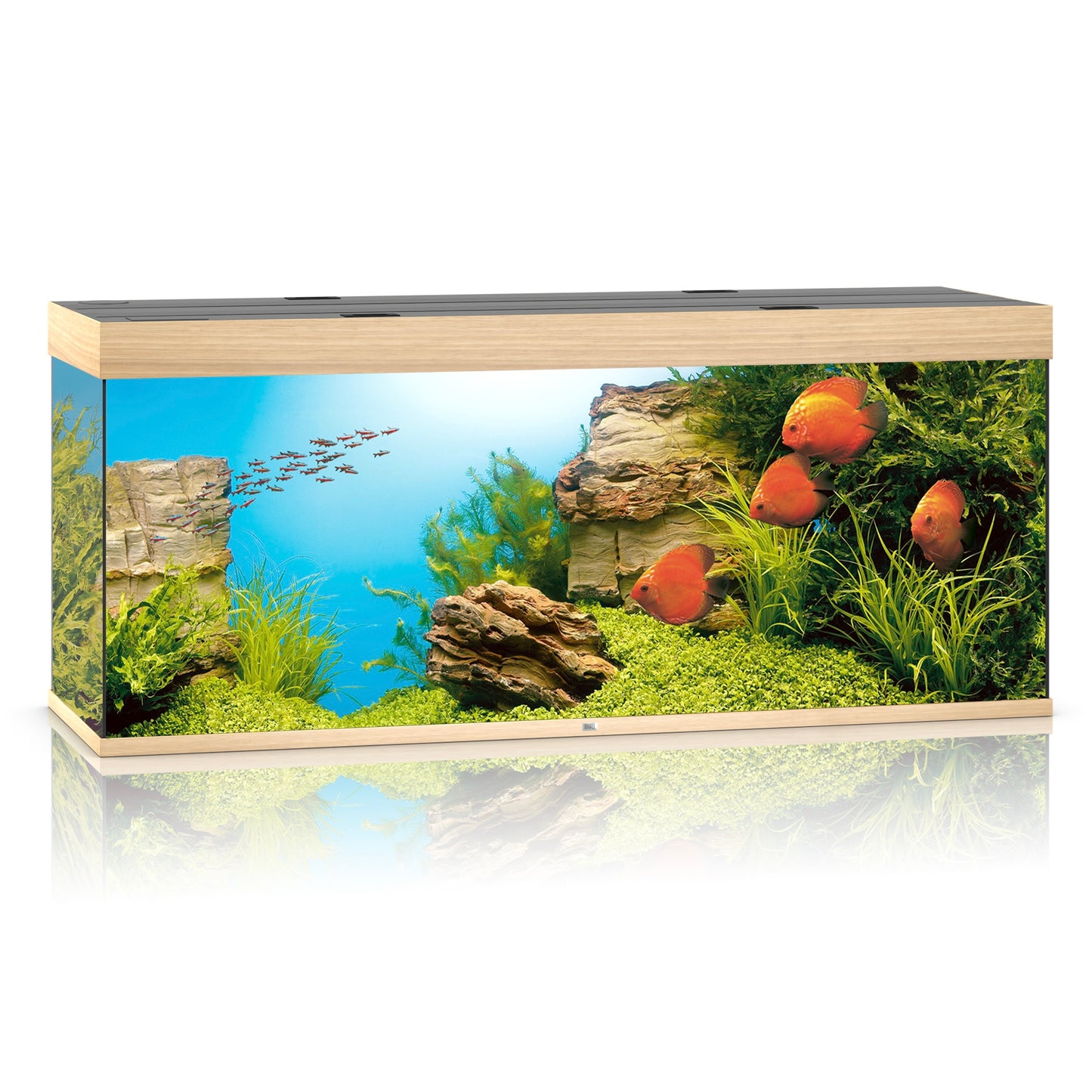 Juwel Rio 450