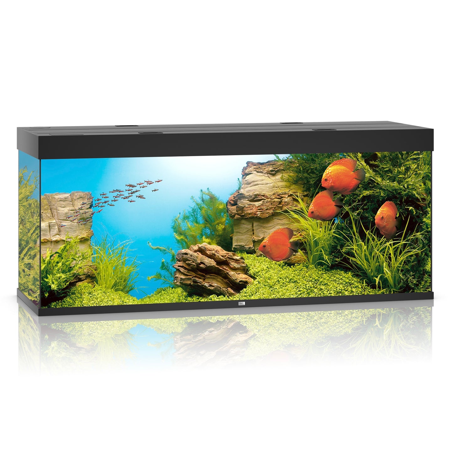 Juwel Rio 450