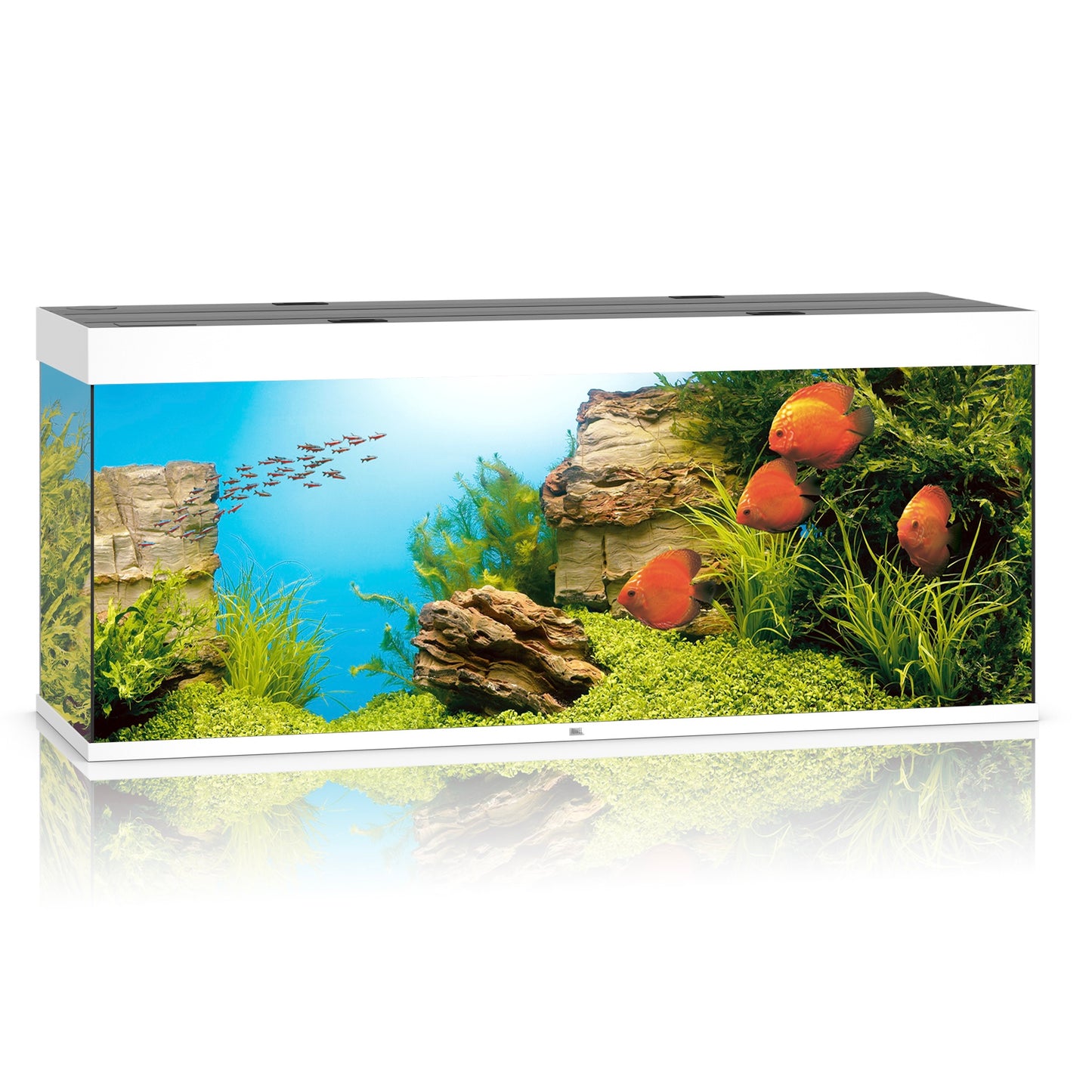Juwel Rio 450