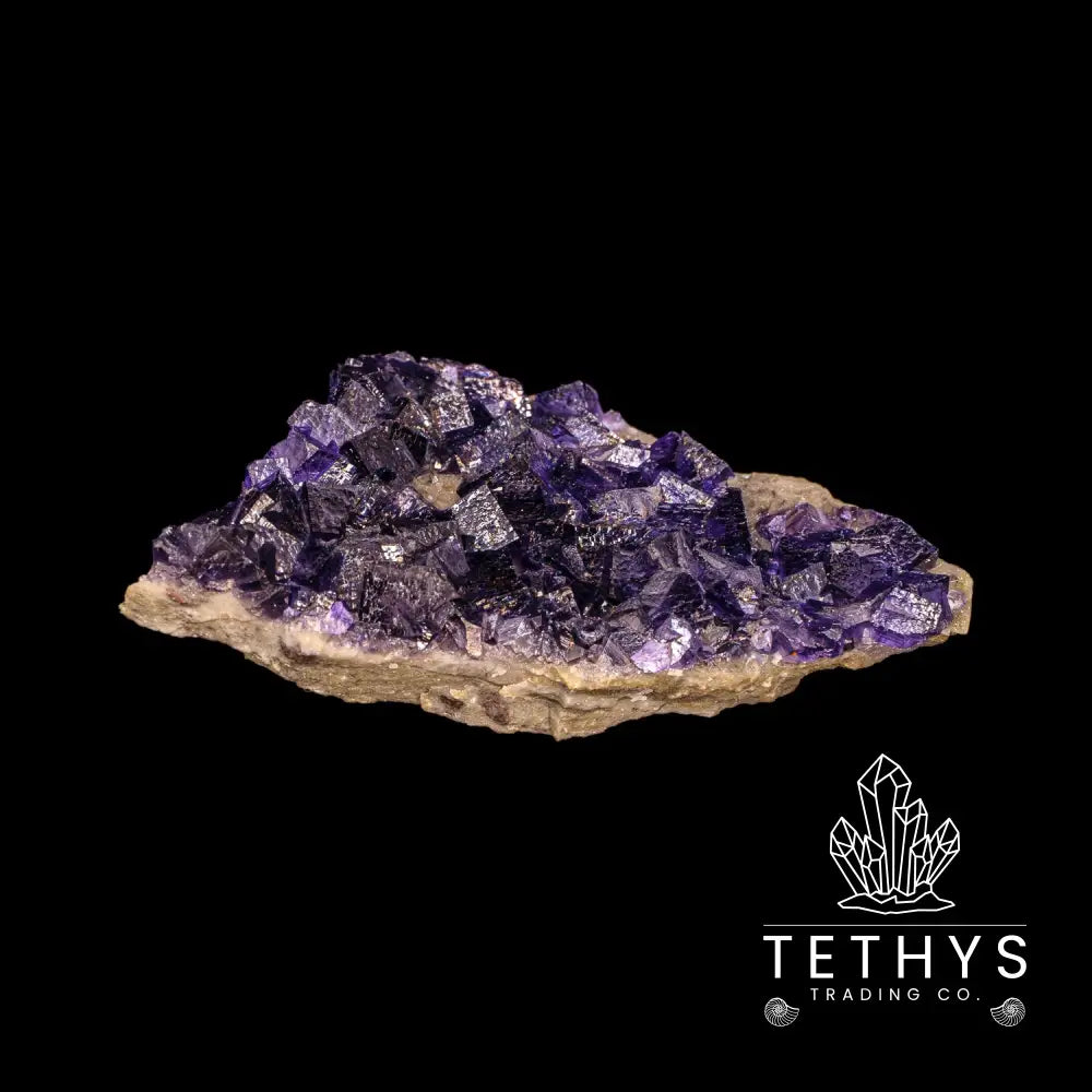 Fluorite Purple (Med/Lg) Wysiwyg