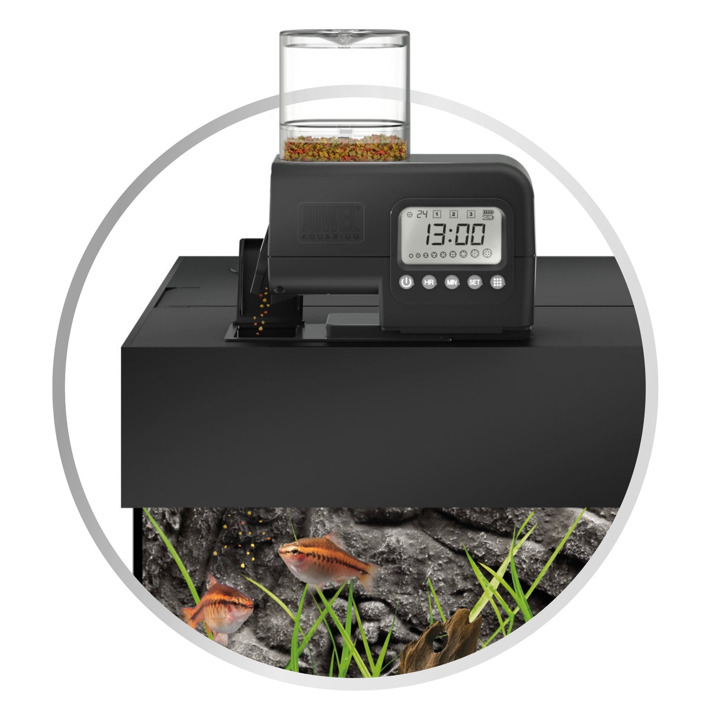 SmartFeed 2.0 - Automatic Feeder