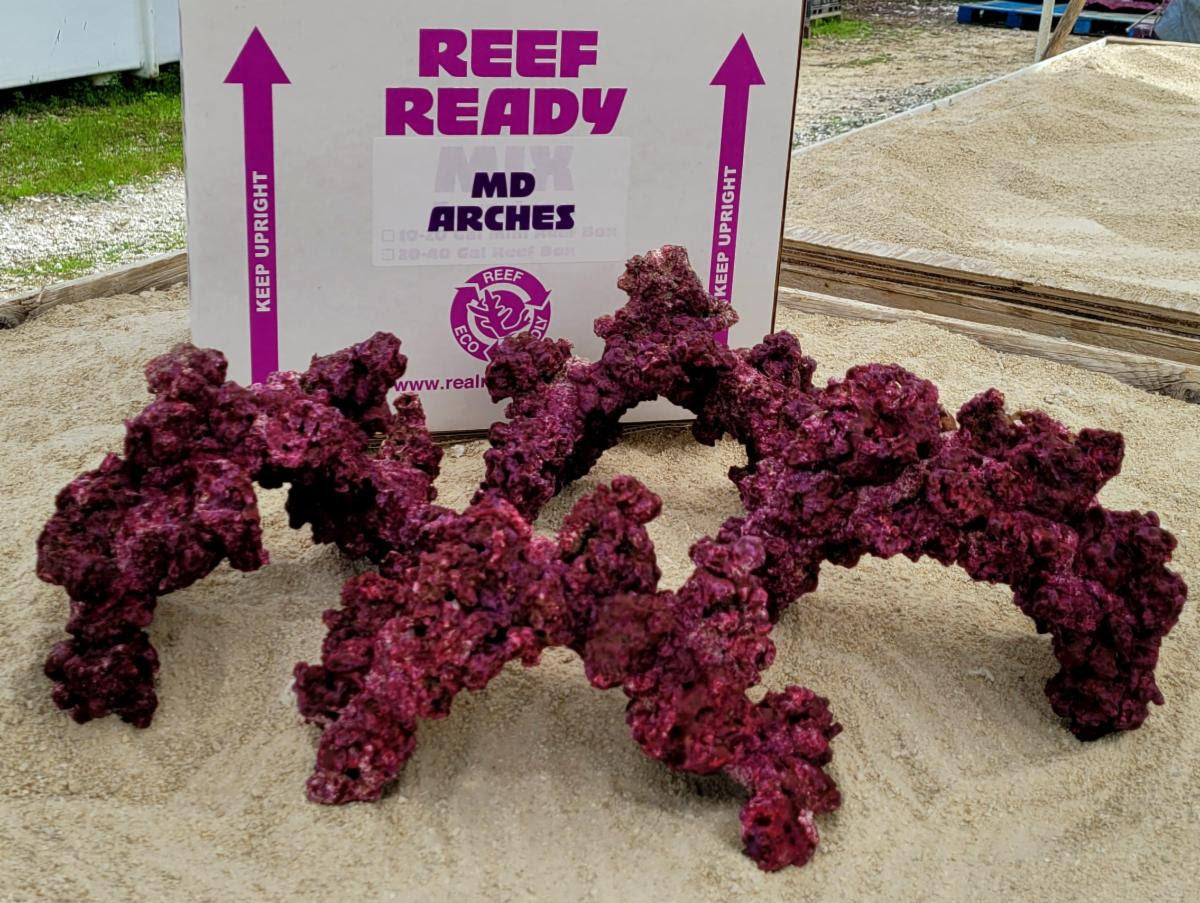 Live Rock - Real Reef Arches – Carolina Aquatics