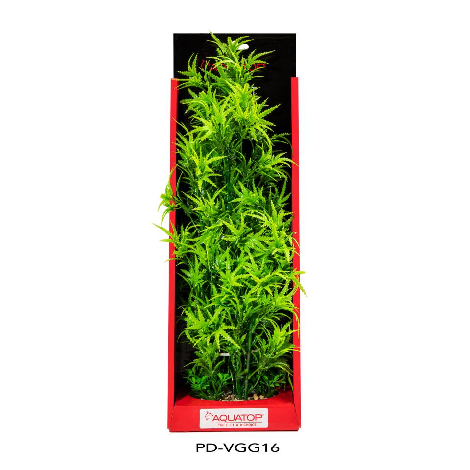 Vibrant Garden Green Plant