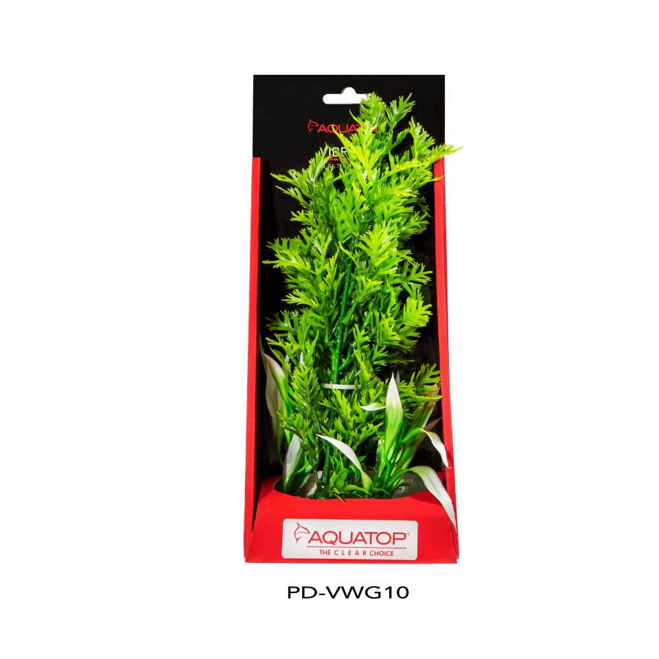 Vibrant Wild Green Plant
