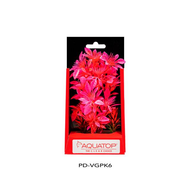 Vibrant Garden Pink Plant