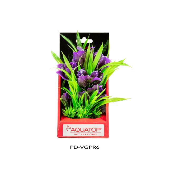 Vibrant Garden Purple Plant