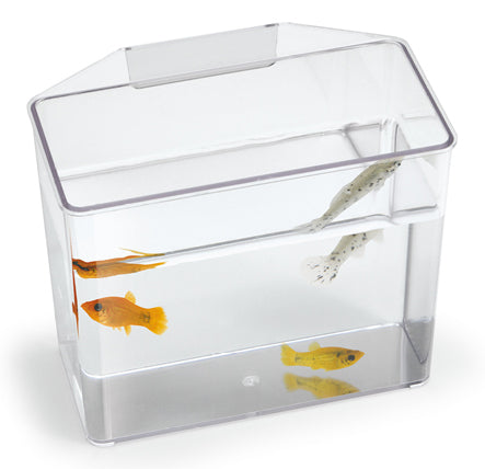 Break Resistant Spec Container Bulk