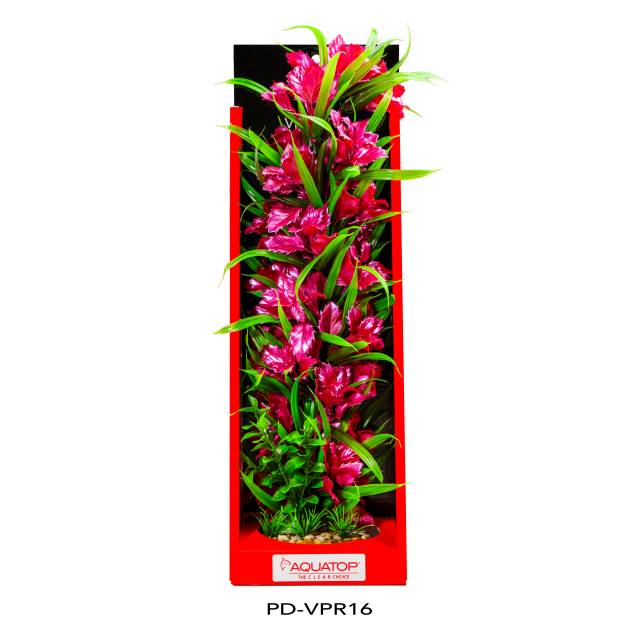 Vibrant Passion Rose Plant