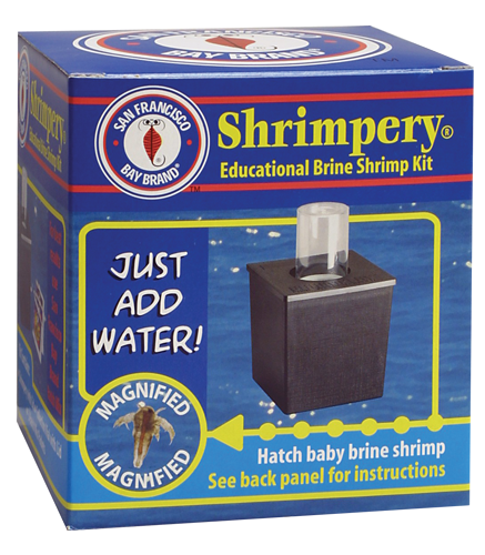 SFBB Shrimpery